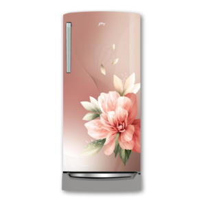 Godrej 194 L 5 Star Edge Marvel 215EN TDI RS BM Direct Cool Refrigerator