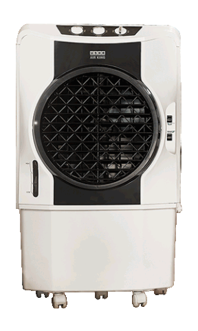 USHA CD 504 A Desert Cooler - 50L White